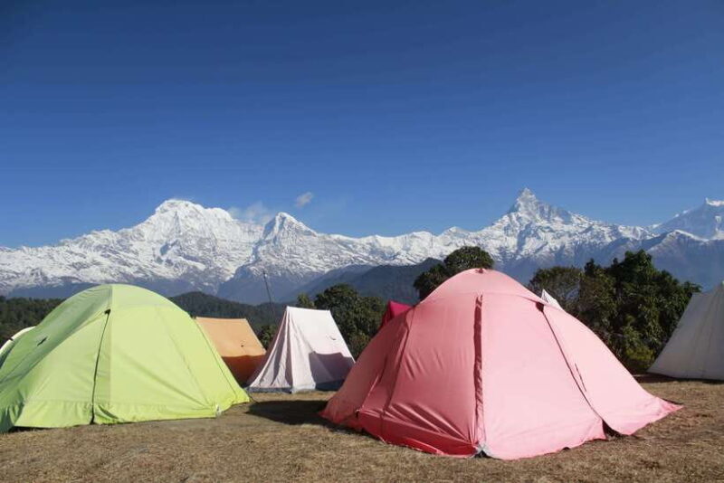 From Pokhara: Australian Camp and Dhampus Hiking Tour - Value for Money: Is It Worth It?