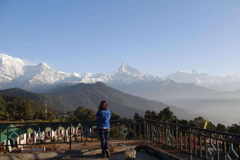 From Pokhara: Australian Camp and Dhampus Hiking Tour - Who Will Love This Trip?