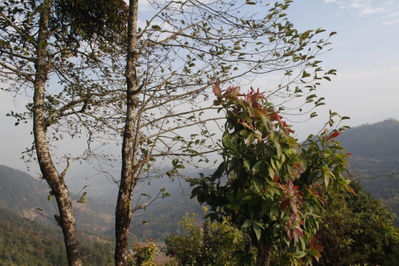 From Pokhara: Day Hiking Australian Camp & Dhampus - Final Thoughts: Is This Tour Right for You?