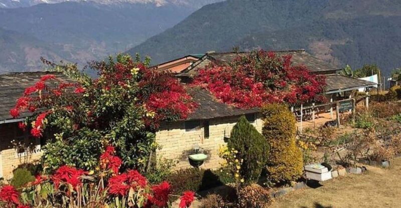 From Pokhara: Full Day Hiking to Astam Village - Key Points