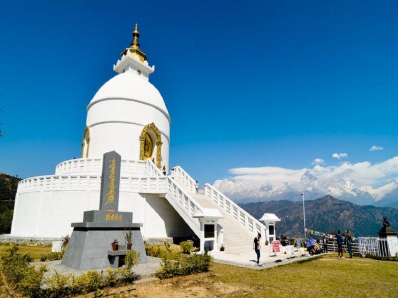 From Pokhara: Guided Day Jungle Hiking Tour with Boat Ride - Key Points