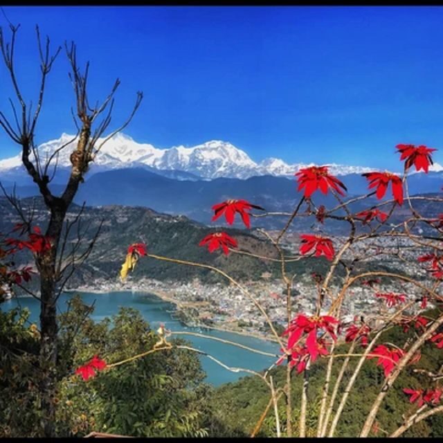 From Pokhara: Guided Day Jungle Hiking Tour with Boat Ride - What Do Travelers Say?