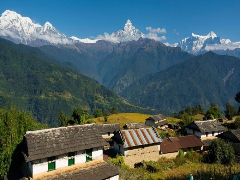 From Pokhara: Guided Tour to Visit 4 Himalayas View Point - What Makes This Tour Stand Out?