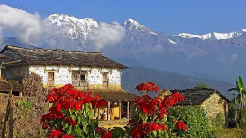 From Pokhara: Guided Tour to Visit 4 Himalayas View Point - Who Is This Tour Best For?