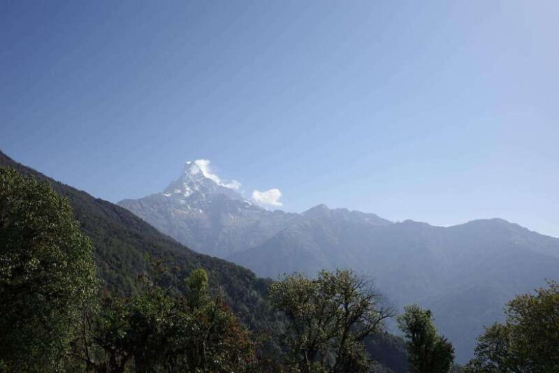 From Pokhara: Mardi Himal Trek with Accommodation and Guide - An In-Depth Look at the Mardi Himal Trek from Pokhara