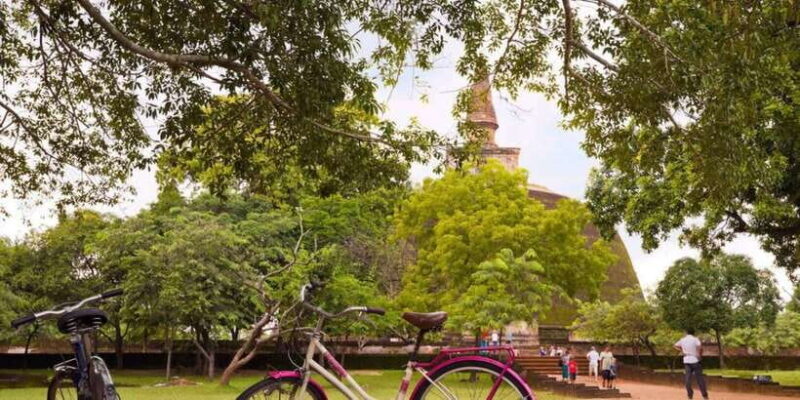 From Polonnaruwa: Ancient City of Polonnaruwa by Bike - An Engaging Introduction to the Tour