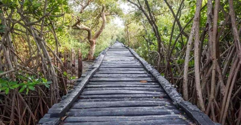 From Pondicherry: Private Day tour to Chidambaram ! - A Practical Guide to the Chidambaram Day Tour