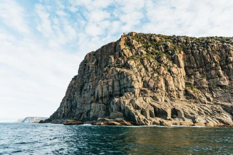 From Port Arthur: Tasman Island Wilderness Cruise - The Wildlife and Geology: Why They Matter