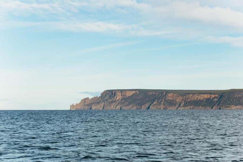 From Port Arthur: Tasman Island Wilderness Cruise - The Guides: Knowledgeable and Engaging