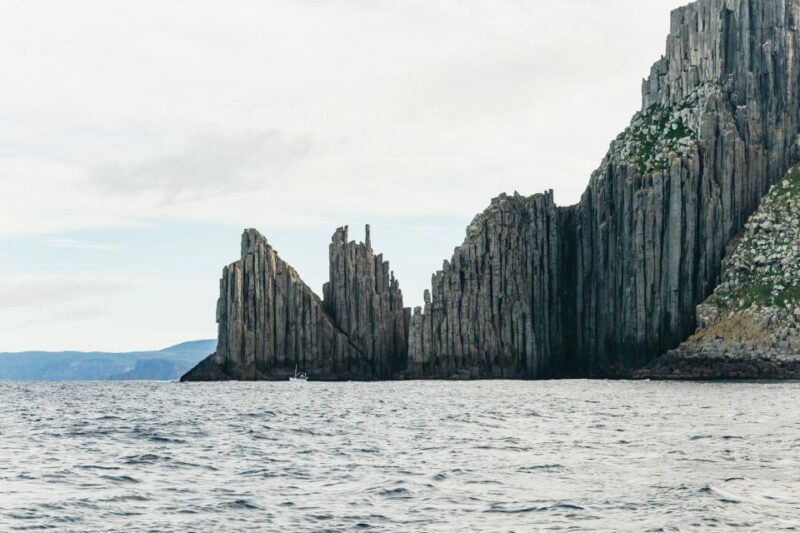 From Port Arthur: Tasman Island Wilderness Cruise - The Cost and Value