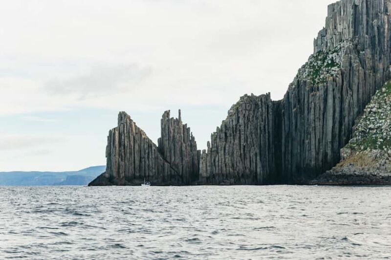 From Port Arthur: Tasman Island Wilderness Cruise - Final Thoughts: Who Will Love This?