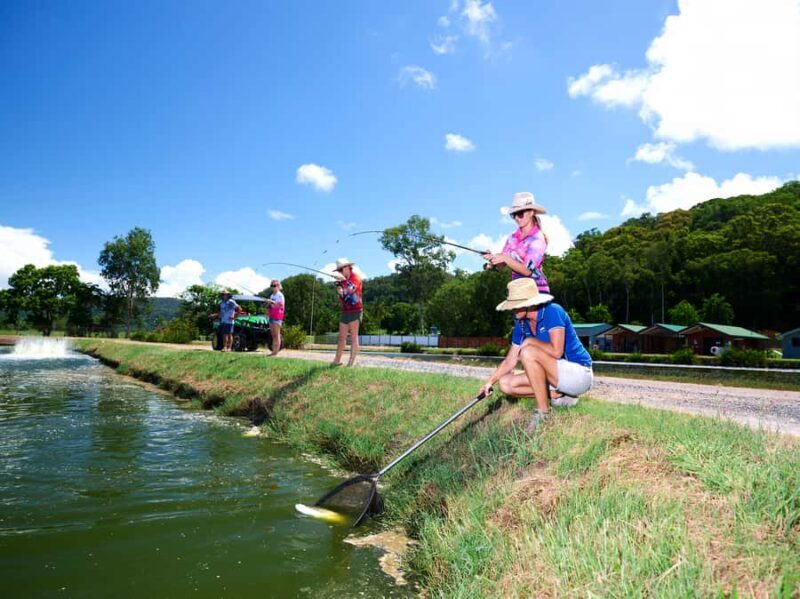 From Port Douglas: Barramundi Pond Fishing with Lunch - Pricing and Value