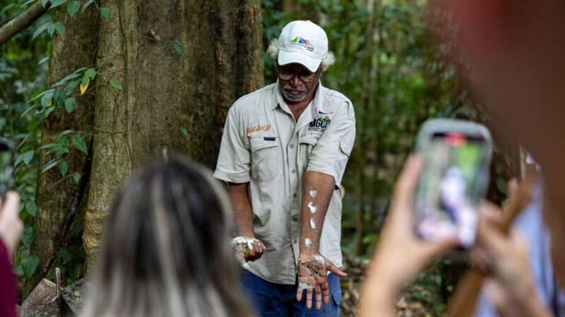 From Port Douglas: Daintree Rainforest & Mossman Gorge Tour - Daintree River Wildlife Cruise
