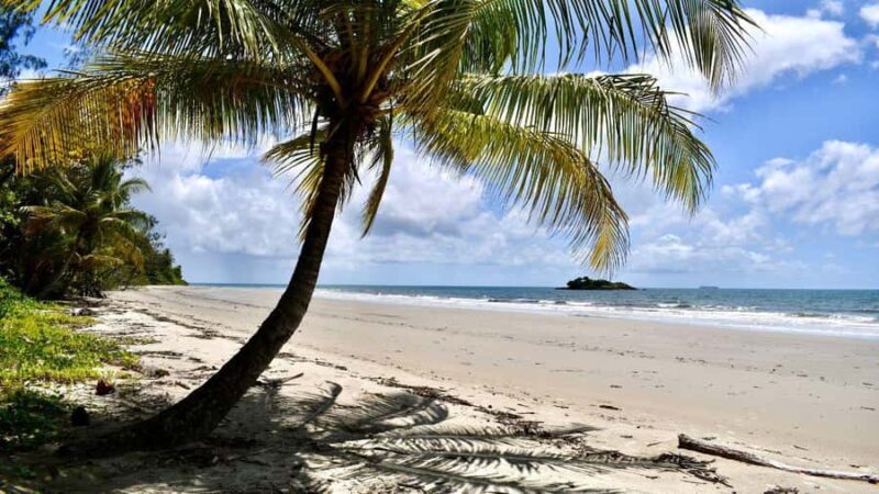 From Port Douglas: Daintree Rainforest & Mossman Gorge Tour - Lunch in the Rainforest