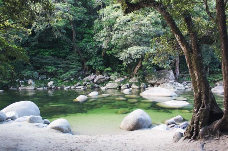 From Port Douglas: Daintree Rainforest & Mossman Gorge Tour - Return & Reflection