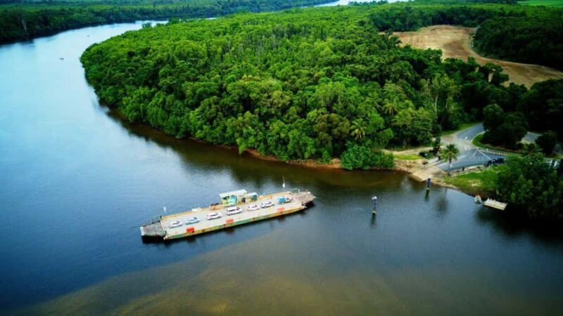 From Port Douglas: Daintree Rainforest & Mossman Gorge Tour - Who should consider this tour?