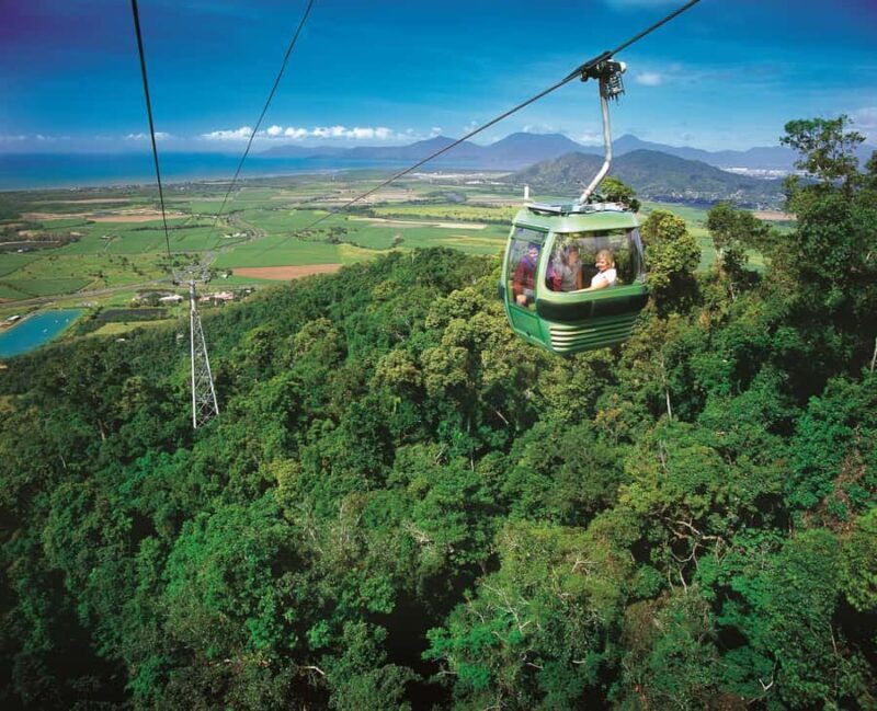 From Port Douglas: Hartley's Crocodile Park, Skyrail & Train - Key Points