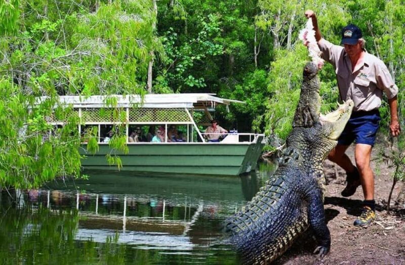 From Port Douglas: Hartley's Crocodile Park, Skyrail & Train - An Authentic Day in Queensland: What to Expect