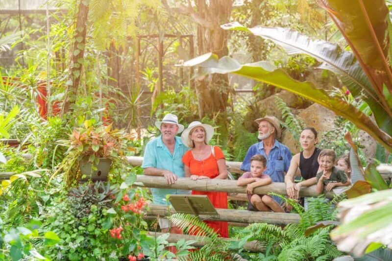 From Port Douglas: Hartley's Crocodile Park, Skyrail & Train - Who Should Consider This Tour?