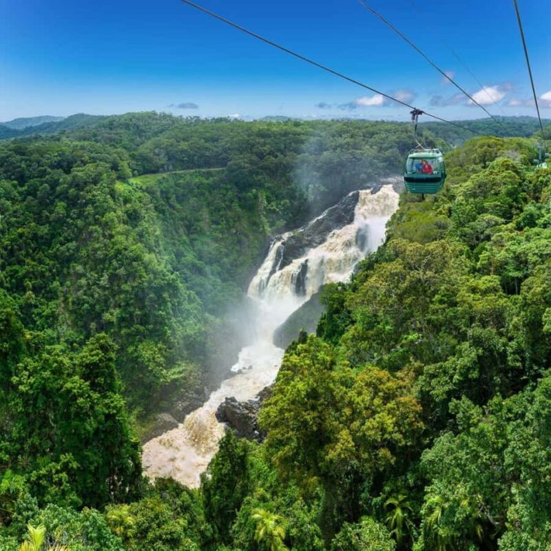From Port Douglas: Hartley's Crocodile Park, Skyrail & Train - The Sum Up