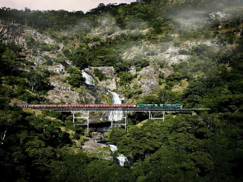 From Port Douglas: Kuranda Tour with Skyrail & Scenic Train - Authentic Insights from Travelers