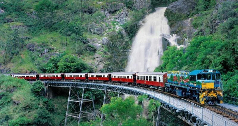 From Port Douglas: Kuranda via Scenic Rail or Skyrail Option - Key Points