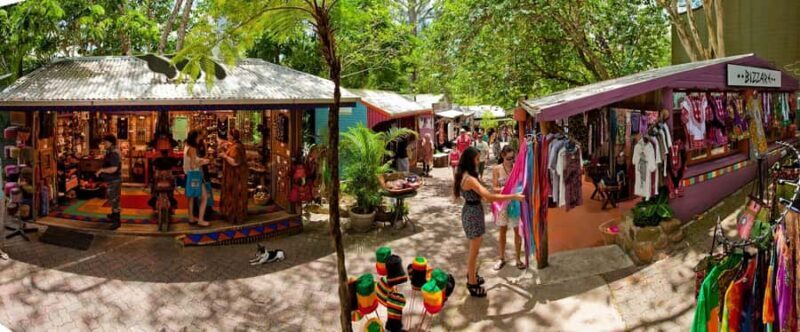 From Port Douglas: Kuranda via Scenic Rail or Skyrail Option - Who Will Love This Tour?