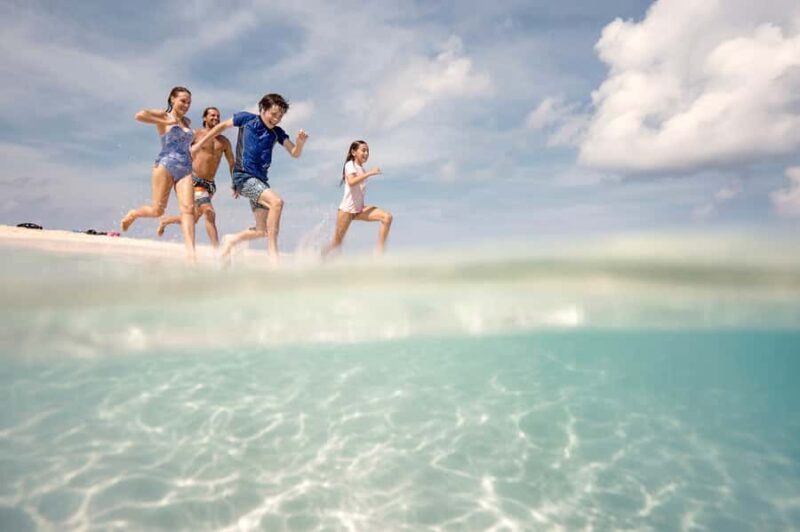 From Port Douglas: Outer Reef Cruise by Luxury Catamaran - Introduction