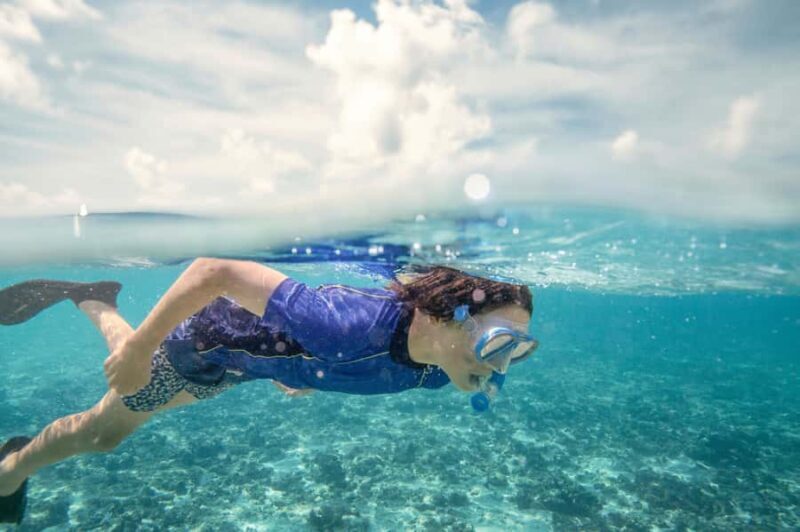 From Port Douglas: Outer Reef Cruise by Luxury Catamaran - Key Points