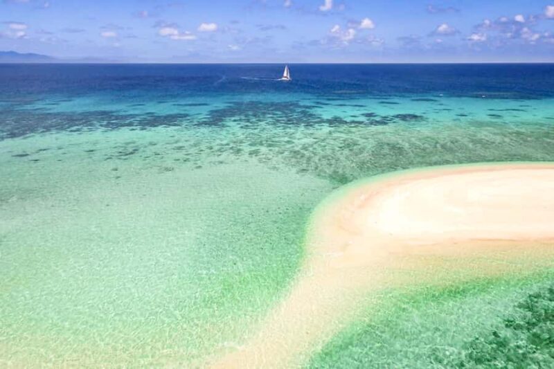 From Port Douglas: Outer Reef Cruise by Luxury Catamaran - What Makes This Tour Stand Out