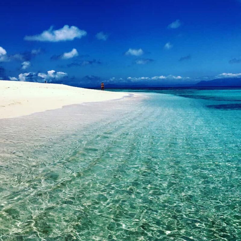 From Port Douglas: Outer Reef Cruise by Luxury Catamaran - In The Sum Up