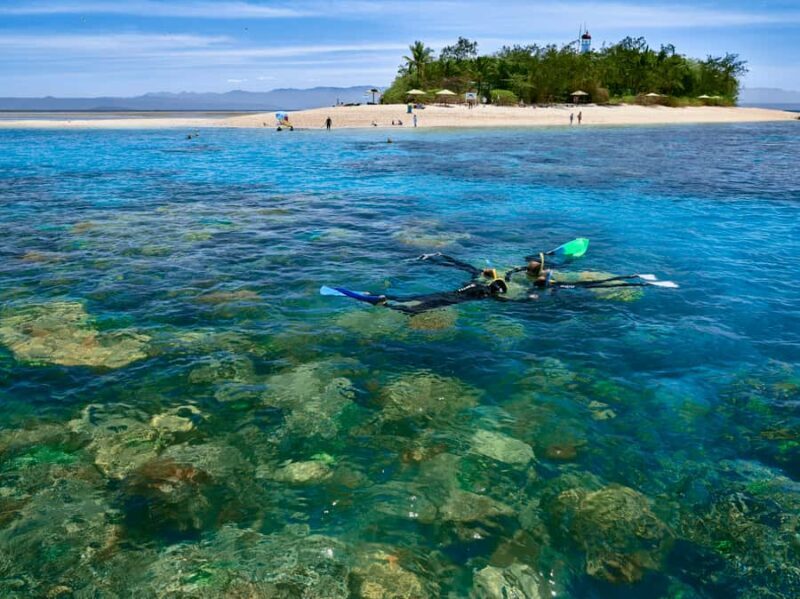 From Port Douglas: Sail to Low Isles Great Barrier Reef - Introduction to the Tour Experience