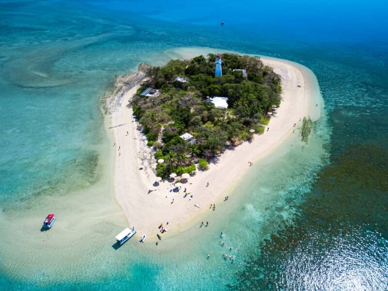 From Port Douglas: Sail to Low Isles Great Barrier Reef - Price and Value for Money