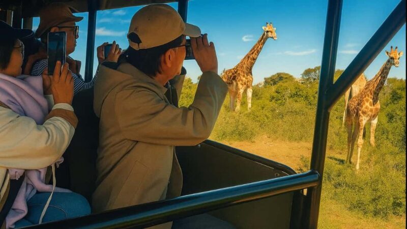 From Port Elizabeth: 5-Day Garden Route Tour to Cape Town - The Itinerary: A Deep Dive