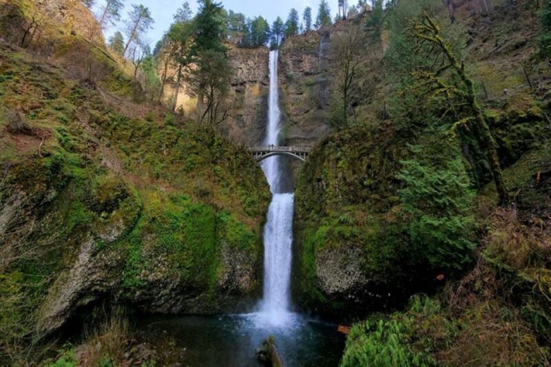 From Portland: Half-Day Columbia River Gorge Waterfalls Tour - The Scenic Drive to Waterfall Wonderland