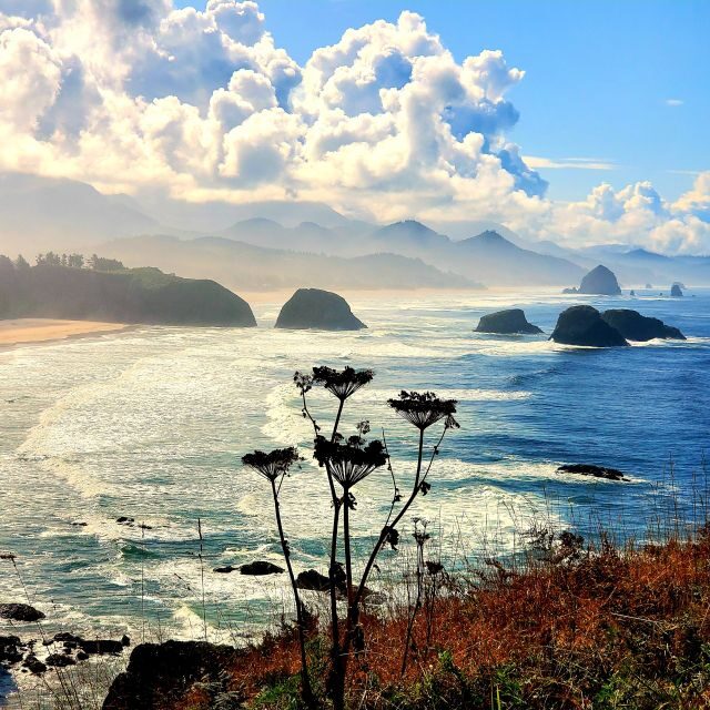 From Portland: Oregon Coast Adventure Day Tour with Pickup - The Itinerary: An In-Depth Look