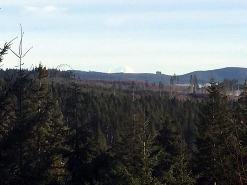 From Portland: Oregon Coast Day Trip Cannon Beach Area - Who Would Enjoy This Trip?
