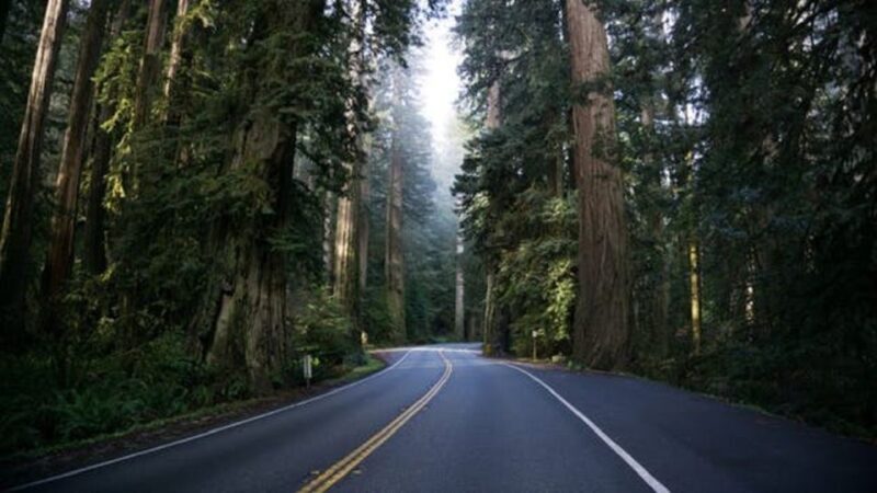 From Portland: Oregon Coast Tour - The Itinerary: A Day of Oregon Coast Wonders