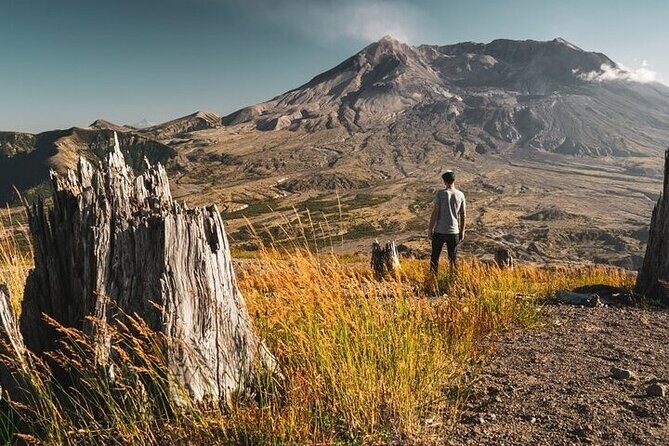 From Portland to Mt. Saint Helen Tour in a Small Group - An In-Depth Review of the Mount St. Helens Small-Group Tour