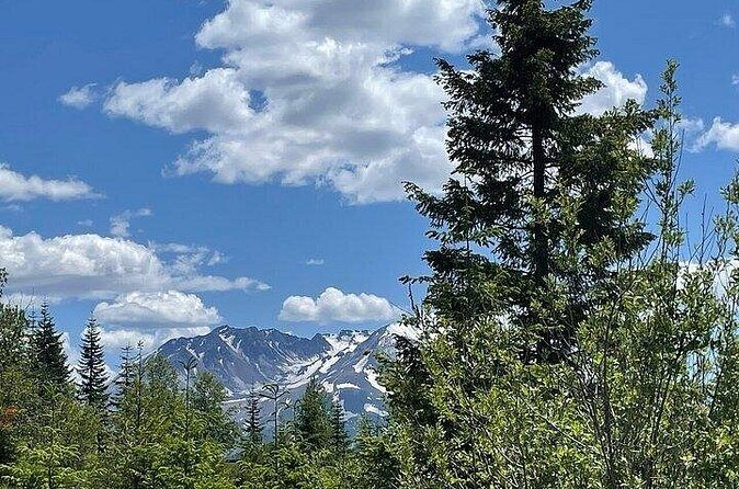 From Portland to Mt. Saint Helen Tour in a Small Group - The Sum Up: Is This Tour Right for You?