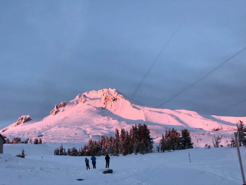 From Portland: Waterfalls, Mt Hood, and Wine Day Tour - How the Tour Works in Practice