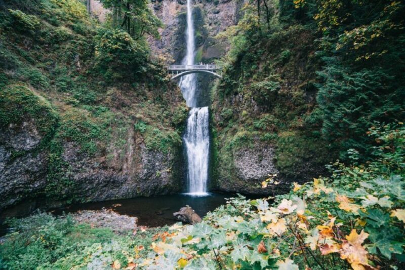 From Portland: Waterfalls, Mt Hood, and Wine Day Tour - FAQ
