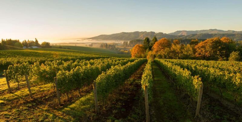 From Portland: Willamette Valley Wine Tasting Tour - The Journey Begins in Downtown Portland