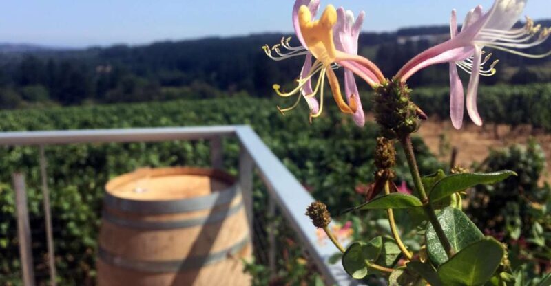 From Portland: Willamette Valley Wine & Whisky - Why This Tour Is a Good Choice