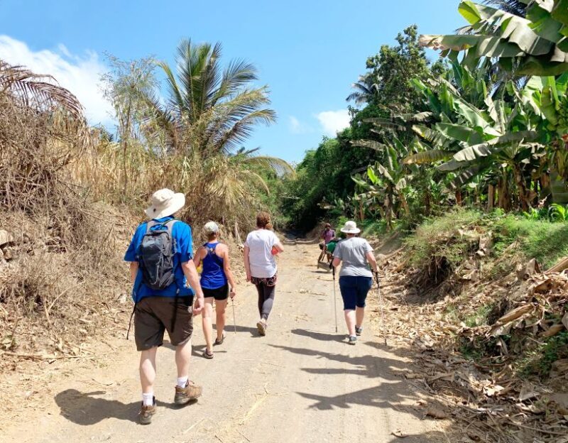 From Praia: Banana Plantation Tour and Cuscuz Workshop - Authenticity, Value, and Who Will Love It