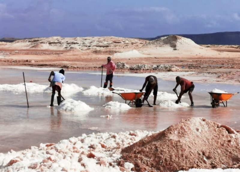 From Praia: Full-Day Sal Island Tour - An In-Depth Look at the From Praia: Full-Day Sal Island Tour