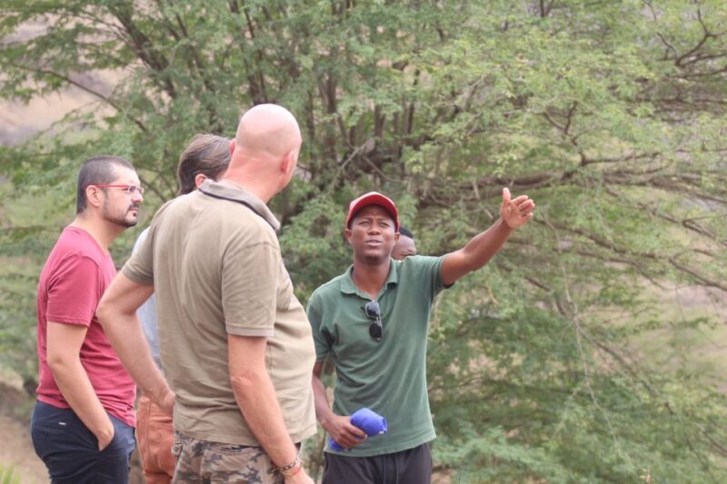 From Praia: Full-Day Sal Island Tour - Who is This Tour Best For?
