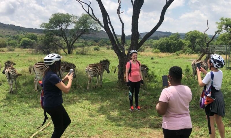 From Pretoria: E-Bike in the wild with game near Jo'burg - Key Points