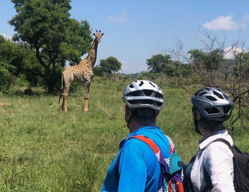 From Pretoria: E-Bike in the wild with game near Jo'burg - A Closer Look at the E-Bike Tour Experience