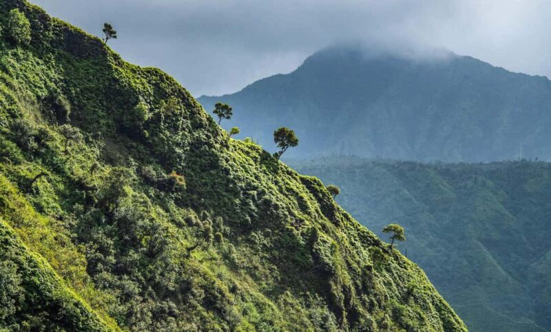 From Princeville: Discover Kauai Helicopter Tour - An In-Depth Look at the Kauai Helicopter Experience